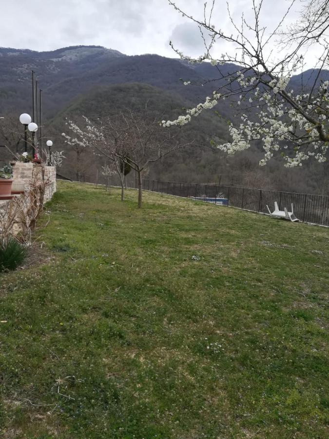 Agriturismo Le Cascine Castel di Tora Luaran gambar
